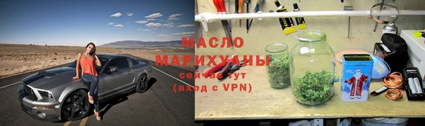 индика Надым